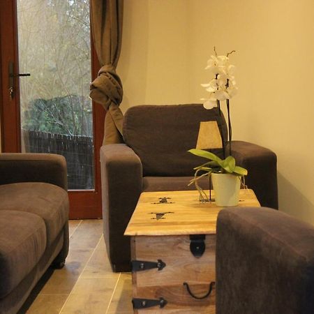 Maison Neuve En Bois Pres De Pairy Daisa Brugelette Εξωτερικό φωτογραφία